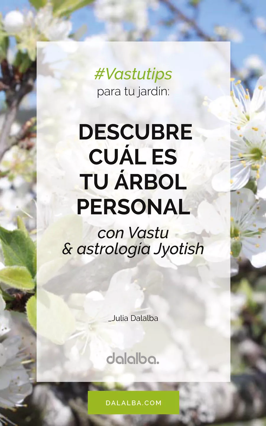 descubre tu árbol personal con vastu y astrología jyotish