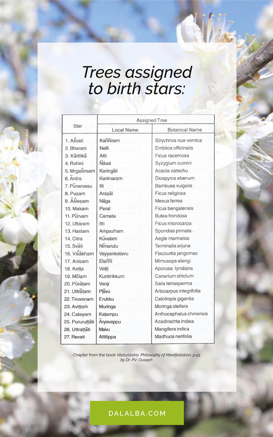 trees assigned to birth stars